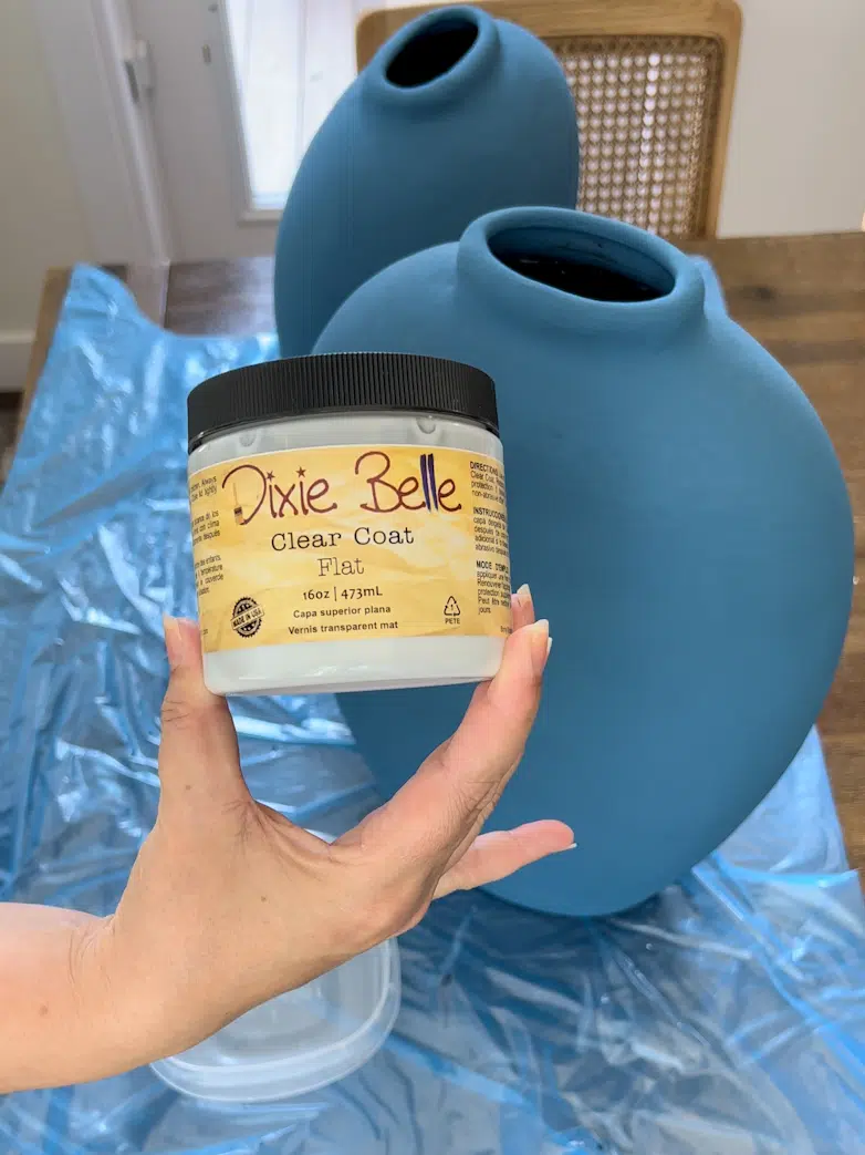 Upgrade Your Vase with Terra Clay Paint!