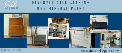 Discover Silk All-In-One Mineral Paint