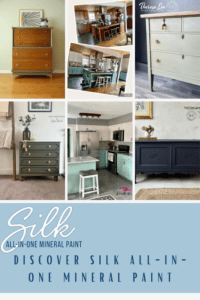 Discover Silk All-In-One Mineral Paint