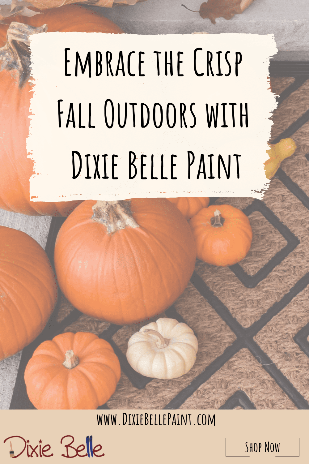 Dixie Belle Paint Blog Pinterest Image