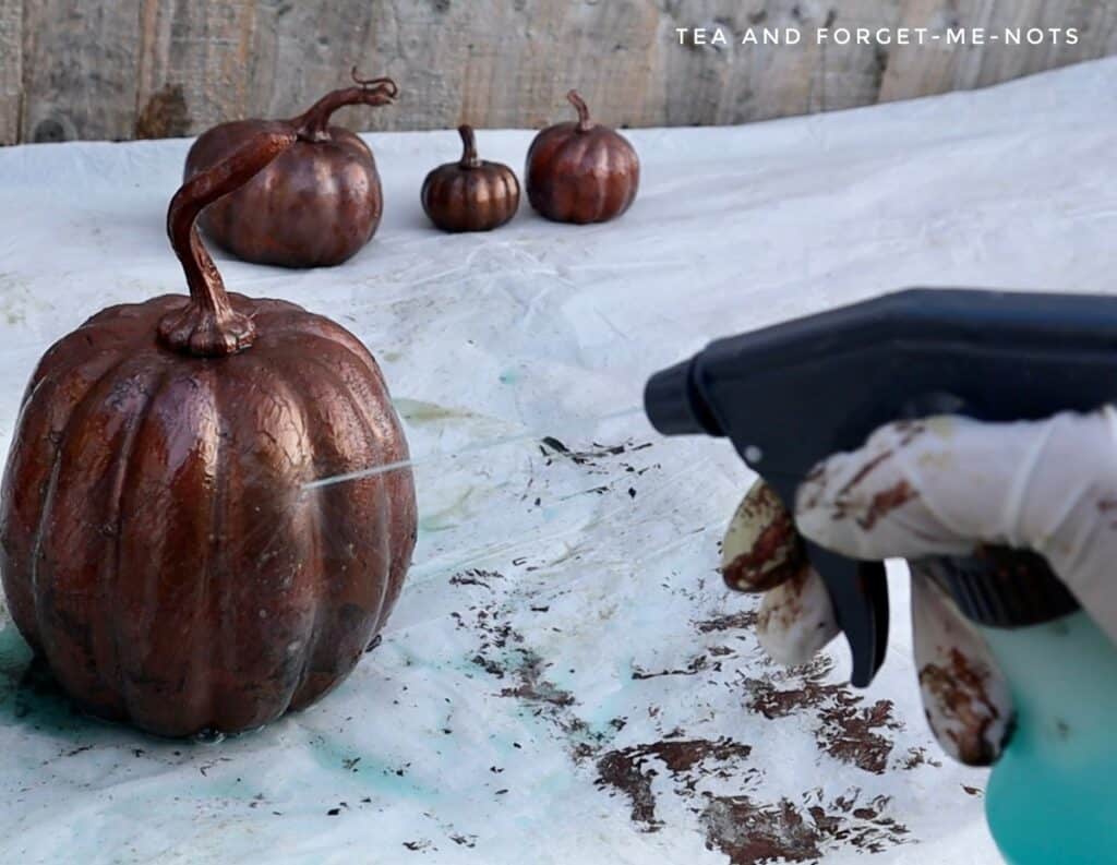 Pumpkins being Sprayed with Patina Spray